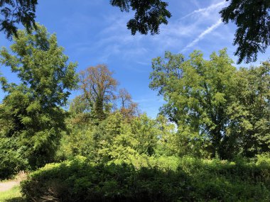 Draskovic kale parkı veya Park oko dvorca Blahimir ili Perivoj Dvorca Draskovic - Bozjakovina, Hırvatistan veya Bozjakovina, Hrvatska