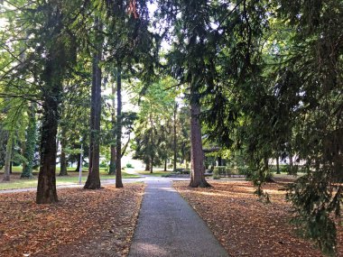 Jankoviç kale parkı veya Perivoj dvorca Jankovic ili Dvorski perivoj Jankoviç - Daruvar, Hırvatistan