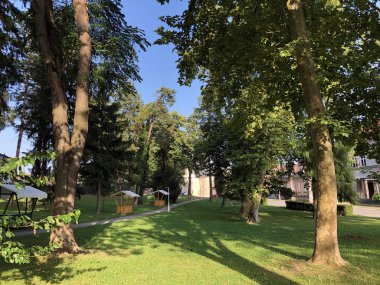 Jankoviç kale parkı veya Perivoj dvorca Jankovic ili Dvorski perivoj Jankoviç - Daruvar, Hırvatistan