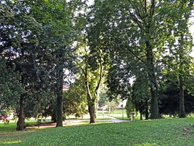 Jankoviç kale parkı veya Perivoj dvorca Jankovic ili Dvorski perivoj Jankoviç - Daruvar, Hırvatistan