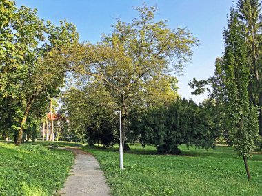 Jankoviç kale parkı veya Perivoj dvorca Jankovic ili Dvorski perivoj Jankoviç - Daruvar, Hırvatistan