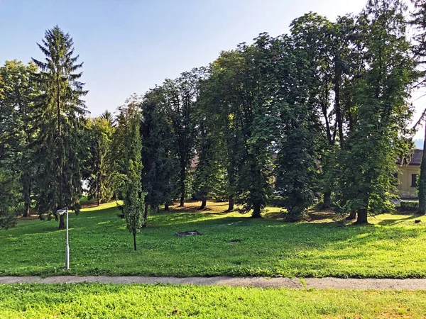 Jankovský Hradní Park Nebo Perivoj Dvorca Jankovic Ili Dvořáski Perivoj — Stock fotografie