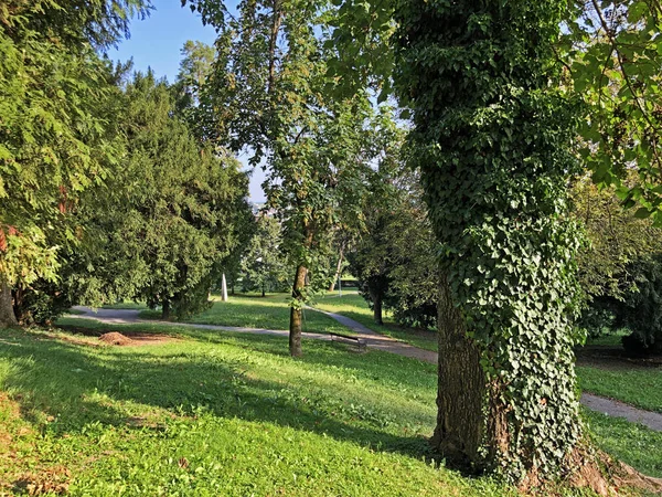 Jankovic Castle Park Lub Perivoj Dvorca Jankovic Ili Dvorski Perivoj — Zdjęcie stockowe