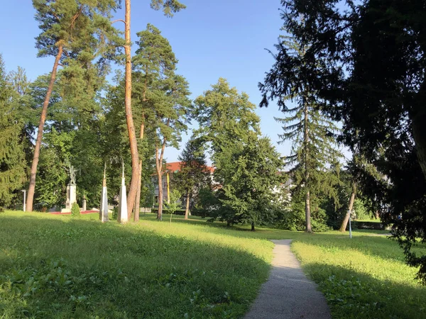 Jankoviç kale parkı veya Perivoj dvorca Jankovic ili Dvorski perivoj Jankoviç - Daruvar, Hırvatistan