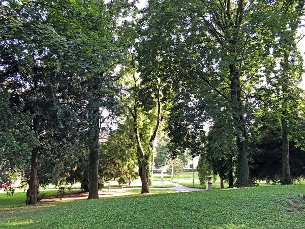 Jankoviç kale parkı veya Perivoj dvorca Jankovic ili Dvorski perivoj Jankoviç - Daruvar, Hırvatistan