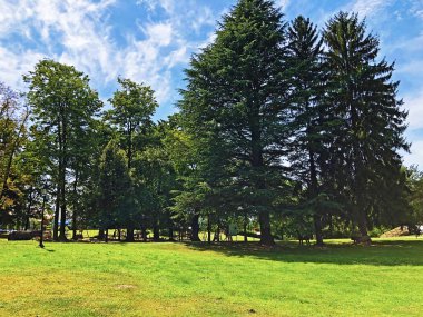 Pejacevic Kalesi veya Perivoj dvorca Pejacevic ili Nasicki gradski park Parkı - Nasice, Hırvatistan