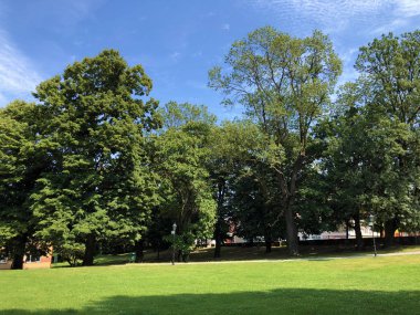 Pejacevic Kalesi veya Perivoj dvorca Pejacevic ili Nasicki gradski park Parkı - Nasice, Hırvatistan