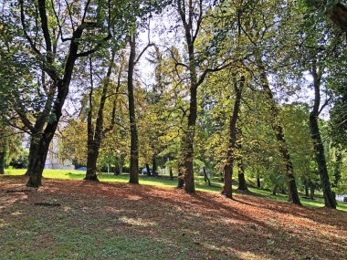Pejacevic Kalesi veya Perivoj dvorca Pejacevic ili Nasicki gradski park Parkı - Nasice, Hırvatistan