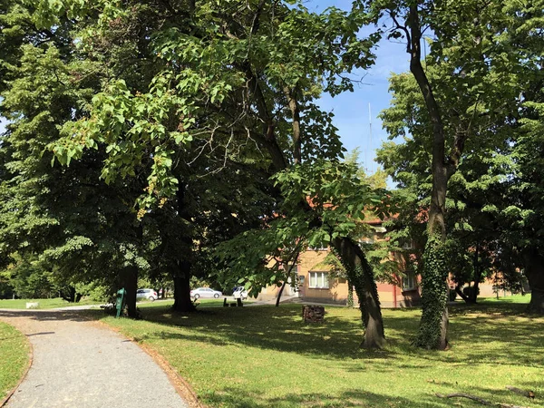 Pejacevic Kalesi veya Perivoj dvorca Pejacevic ili Nasicki gradski park Parkı - Nasice, Hırvatistan