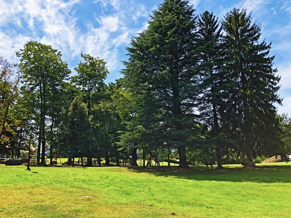 Pejacevic Kalesi veya Perivoj dvorca Pejacevic ili Nasicki gradski park Parkı - Nasice, Hırvatistan