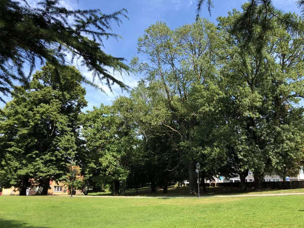 Parco Pejacevic Castle Perivoj Dvorca Pejacevic Ili Nasicki Gradski Park — Foto Stock