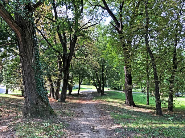 Park Pejacevic Castle Perivoj Dvorca Pejacevic Ili Nasicki Gradski Park — Stock Photo, Image