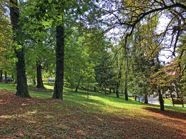 Park Pejacevic Zamek Lub Perivoj Dvorca Pejacevic Ili Nasicki Gradski — Zdjęcie stockowe