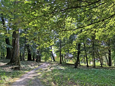 Pejacevic Kalesi veya Perivoj dvorca Pejacevic ili Nasicki gradski park Parkı - Nasice, Hırvatistan