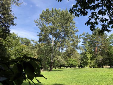 Pejacevic Kalesi veya Perivoj dvorca Pejacevic ili Nasicki gradski park Parkı - Nasice, Hırvatistan