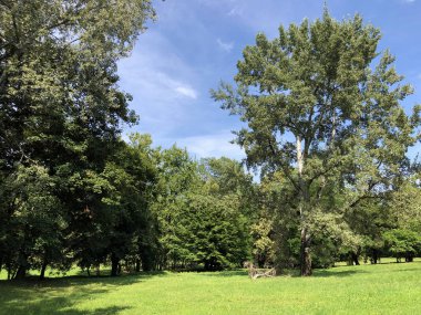 Pejacevic Kalesi veya Perivoj dvorca Pejacevic ili Nasicki gradski park Parkı - Nasice, Hırvatistan