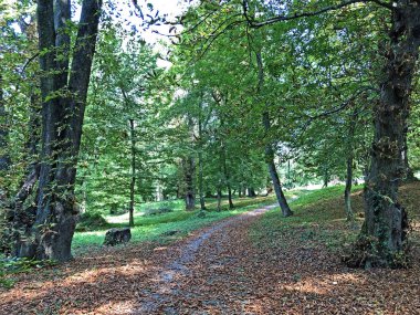 Pejacevic Kalesi veya Perivoj dvorca Pejacevic ili Nasicki gradski park Parkı - Nasice, Hırvatistan