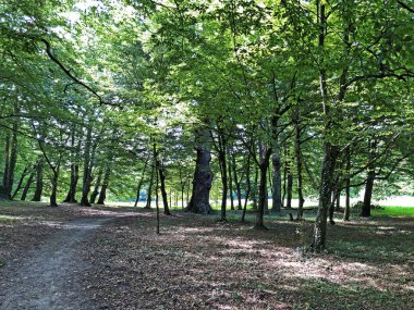 Pejacevic Kalesi veya Perivoj dvorca Pejacevic ili Nasicki gradski park Parkı - Nasice, Hırvatistan