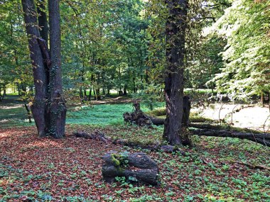 Pejacevic Kalesi veya Perivoj dvorca Pejacevic ili Nasicki gradski park Parkı - Nasice, Hırvatistan