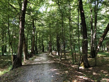 Pejacevic Kalesi veya Perivoj dvorca Pejacevic ili Nasicki gradski park Parkı - Nasice, Hırvatistan