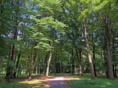 Pejacevic Kalesi veya Perivoj dvorca Pejacevic ili Nasicki gradski park Parkı - Nasice, Hırvatistan
