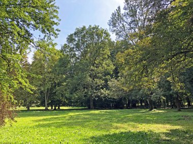 Pejacevic Kalesi veya Perivoj dvorca Pejacevic ili Nasicki gradski park Parkı - Nasice, Hırvatistan