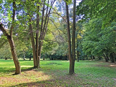Pejacevic Kalesi veya Perivoj dvorca Pejacevic ili Nasicki gradski park Parkı - Nasice, Hırvatistan