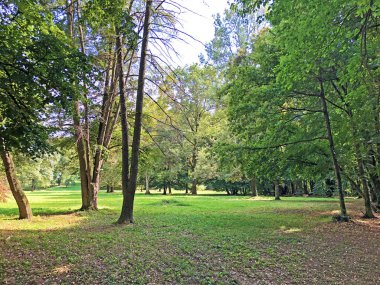 Pejacevic Kalesi veya Perivoj dvorca Pejacevic ili Nasicki gradski park Parkı - Nasice, Hırvatistan