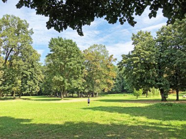 Pejacevic Kalesi veya Perivoj dvorca Pejacevic ili Nasicki gradski park Parkı - Nasice, Hırvatistan