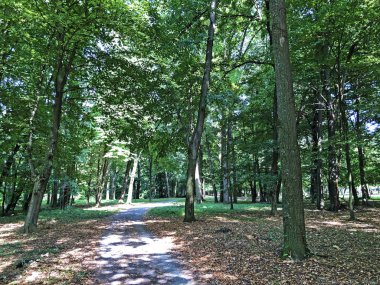 Pejacevic Kalesi veya Perivoj dvorca Pejacevic ili Nasicki gradski park Parkı - Nasice, Hırvatistan