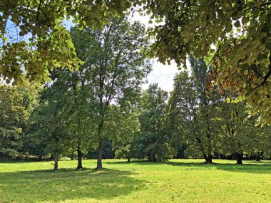 Pejacevic Kalesi veya Perivoj dvorca Pejacevic ili Nasicki gradski park Parkı - Nasice, Hırvatistan