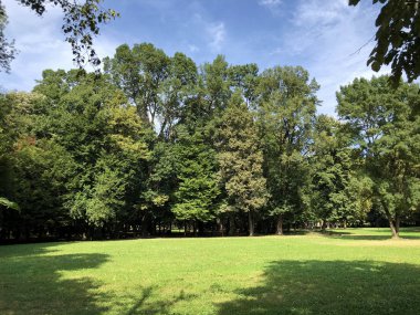 Pejacevic Kalesi veya Perivoj dvorca Pejacevic ili Nasicki gradski park Parkı - Nasice, Hırvatistan