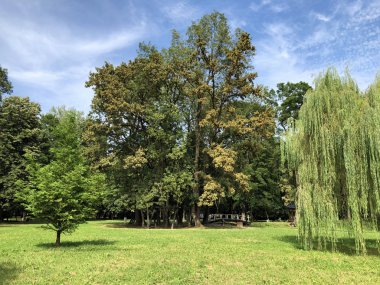 Pejacevic Kalesi veya Perivoj dvorca Pejacevic ili Nasicki gradski park Parkı - Nasice, Hırvatistan