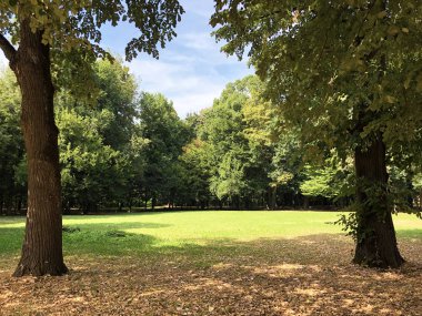 Pejacevic Kalesi veya Perivoj dvorca Pejacevic ili Nasicki gradski park Parkı - Nasice, Hırvatistan