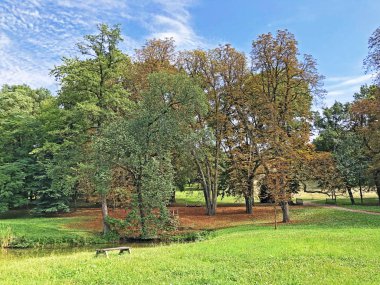 Pejacevic Kalesi veya Perivoj dvorca Pejacevic ili Nasicki gradski park Parkı - Nasice, Hırvatistan