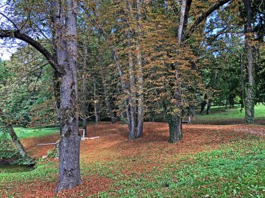 Pejacevic Kalesi veya Perivoj dvorca Pejacevic ili Nasicki gradski park Parkı - Nasice, Hırvatistan