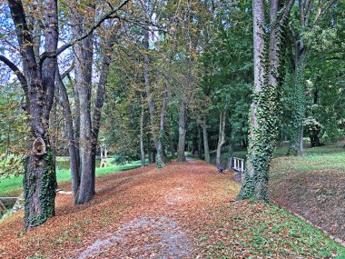 Pejacevic Kalesi veya Perivoj dvorca Pejacevic ili Nasicki gradski park Parkı - Nasice, Hırvatistan