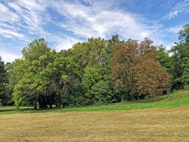 Pejacevic Kalesi veya Perivoj dvorca Pejacevic ili Nasicki gradski park Parkı - Nasice, Hırvatistan