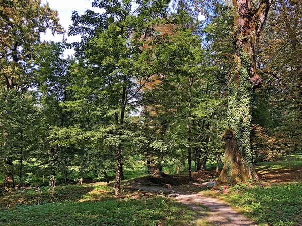 Parque Pejacevic Castle Perivoj Dvorca Pejacevic Ili Parque Esqui Nasicki — Fotografia de Stock