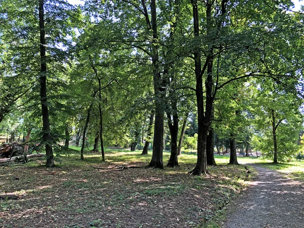 Park Pejacevic Zamek Lub Perivoj Dvorca Pejacevic Ili Nasicki Gradski — Zdjęcie stockowe