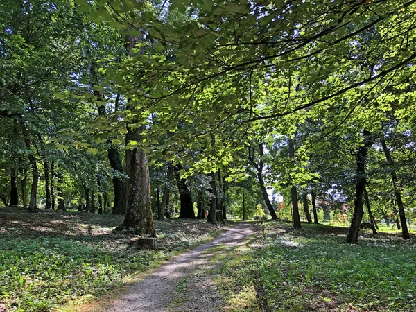 Park Van Kasteel Pejacevic Perivoj Dvorca Pejacevic Ili Nasicki Gradski — Stockfoto