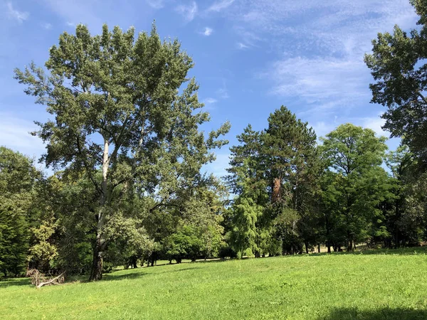 Pejacevic Kalesi veya Perivoj dvorca Pejacevic ili Nasicki gradski park Parkı - Nasice, Hırvatistan