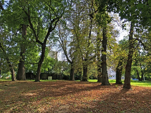 Парк Pejacevic Castle Perivoj Dvorca Pejacevic Ili Nasicki Gradski Park — стоковое фото