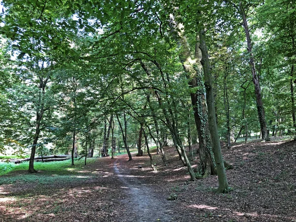 Park Van Kasteel Pejacevic Perivoj Dvorca Pejacevic Ili Nasicki Gradski — Stockfoto