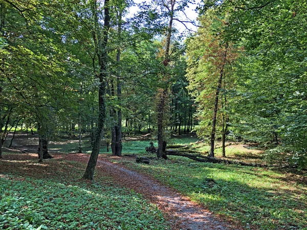 Pejacevic Kalesi veya Perivoj dvorca Pejacevic ili Nasicki gradski park Parkı - Nasice, Hırvatistan