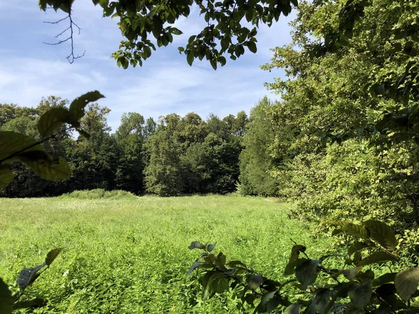 Pejacevic Kalesi veya Perivoj dvorca Pejacevic ili Nasicki gradski park Parkı - Nasice, Hırvatistan