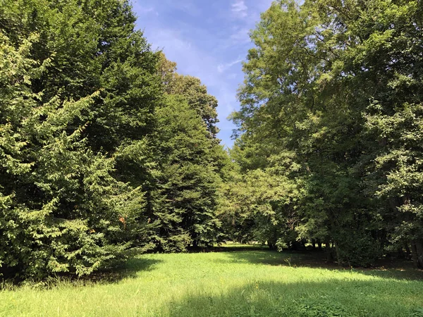 Pejacevic Kalesi veya Perivoj dvorca Pejacevic ili Nasicki gradski park Parkı - Nasice, Hırvatistan