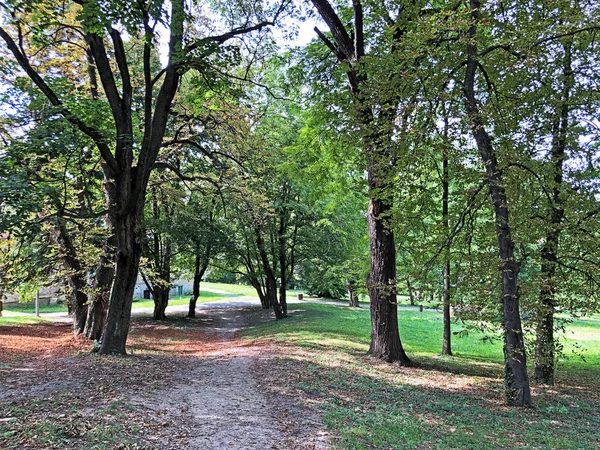 Parque Del Castillo Pejacevic Perivoj Dvorca Parque Pejacevic Ili Nasicki — Foto de Stock