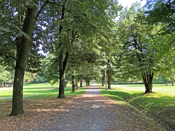 Pejacevský Hrad Nebo Perivoj Dvorca Pejacevic Ili Nasicki Gradski Park — Stock fotografie