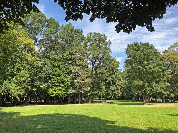 Pejacevic Kalesi veya Perivoj dvorca Pejacevic ili Nasicki gradski park Parkı - Nasice, Hırvatistan